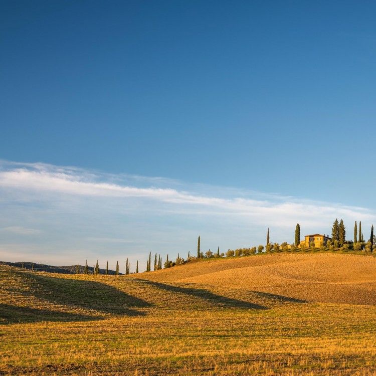 “On St. Martin’s day, all grapes become wine": An autumn weekend in Tuscany
