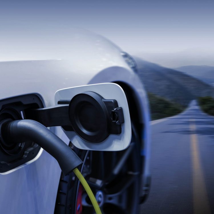 Hybrid cars and electric cars: what are the differences?