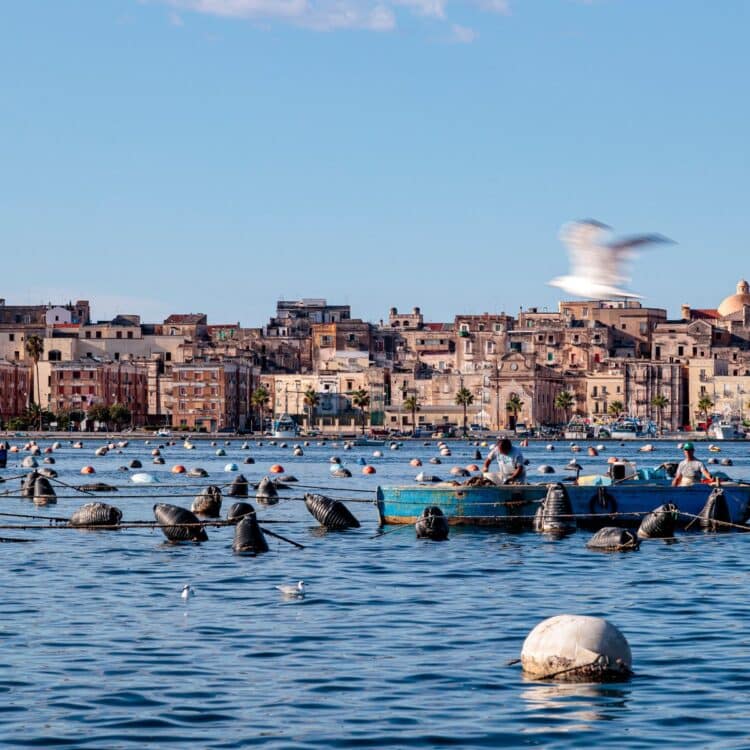 Il mare di Taranto